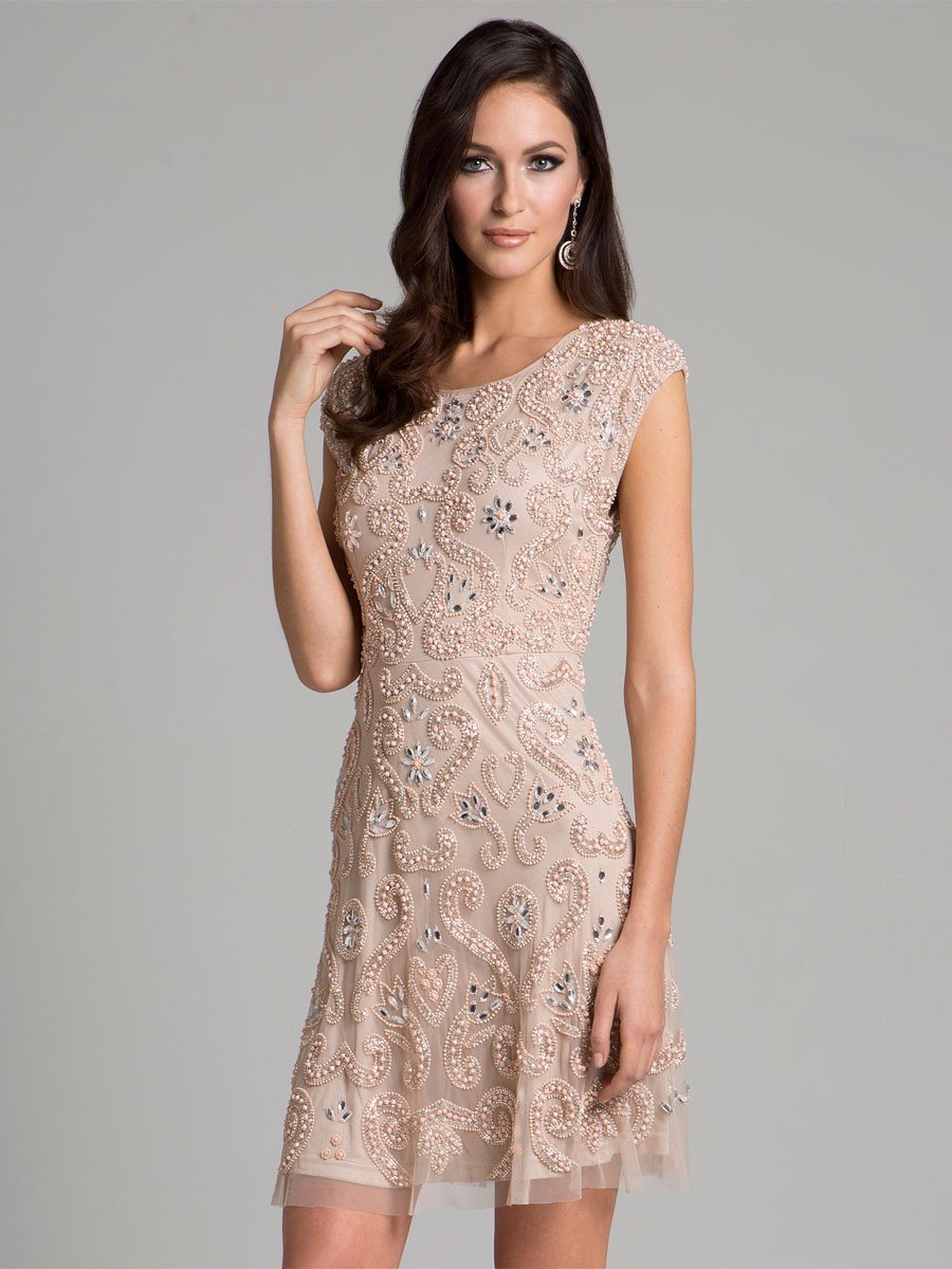 nude short sleeve dress Short Sleeve Lace Dress