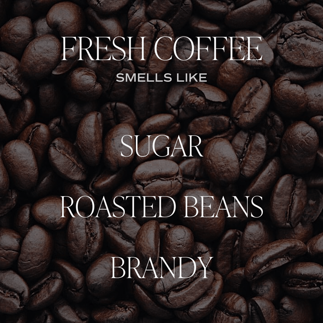 Fresh Coffee Soy Candle - Amber Jar - 9 oz by Sweet Water Decor