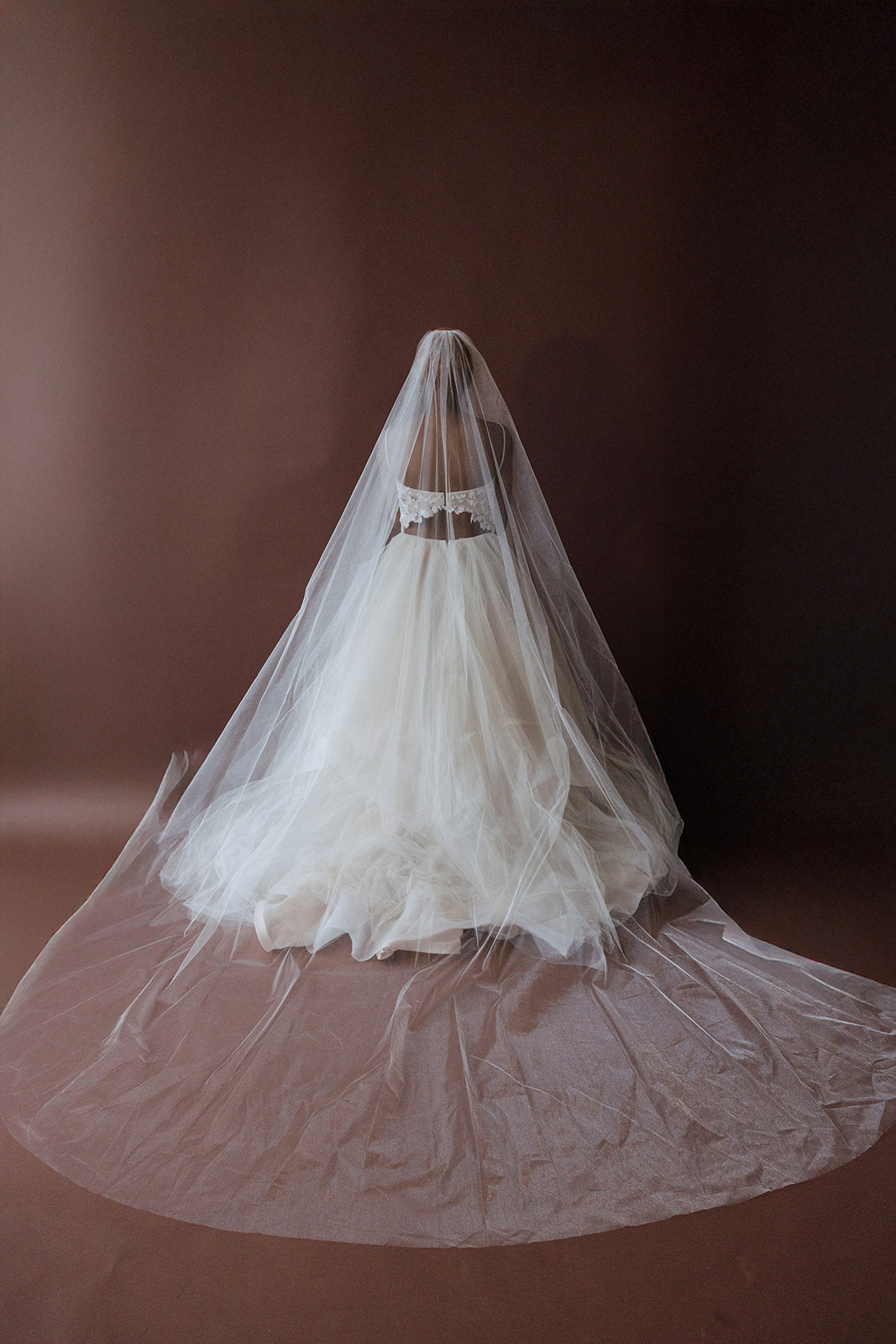 The 'Simply Glimmer' Veil