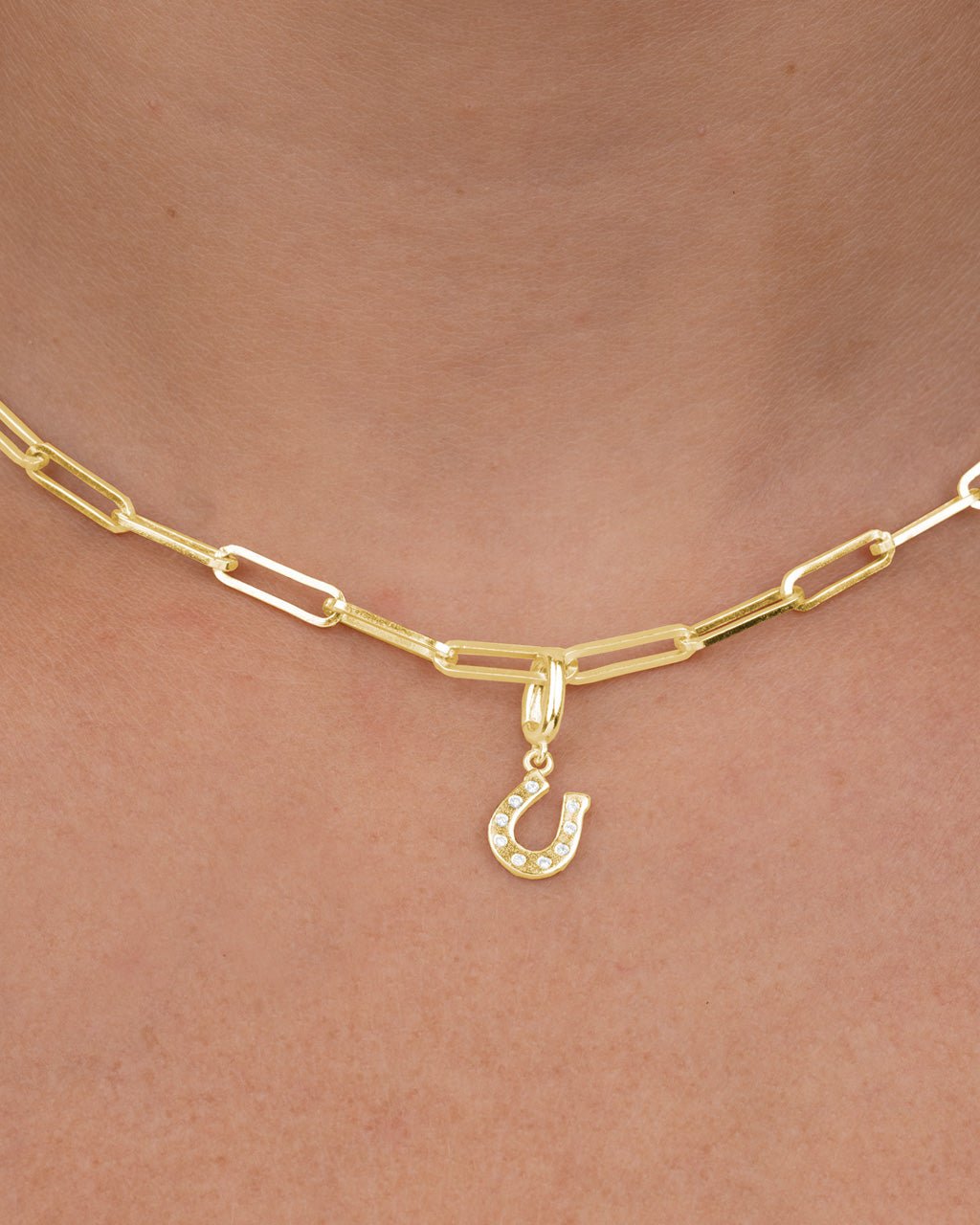 Horseshoe Charm
