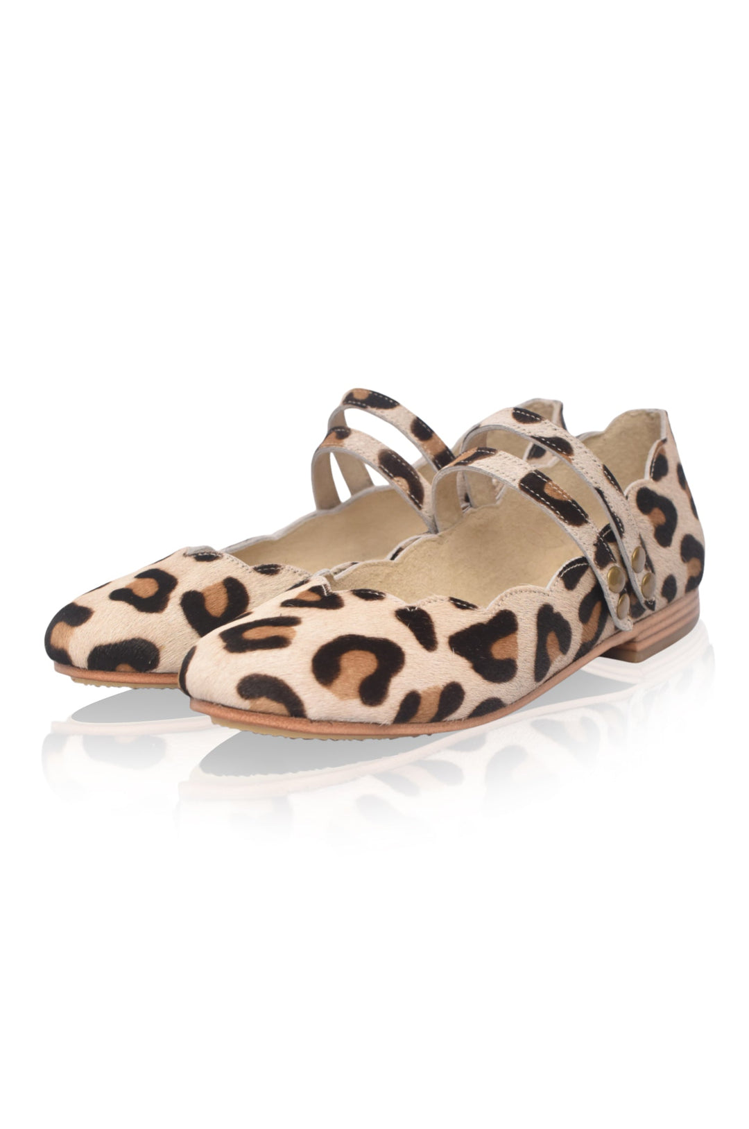Pair of leopard print shoes on a white background