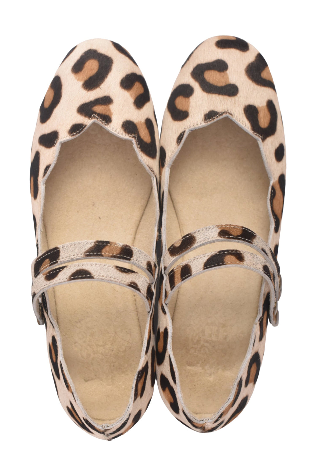 Pair of leopard print shoes on a white background