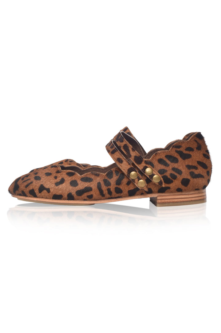 Leopard print flat shoe with a strap and gold buckle on a white background