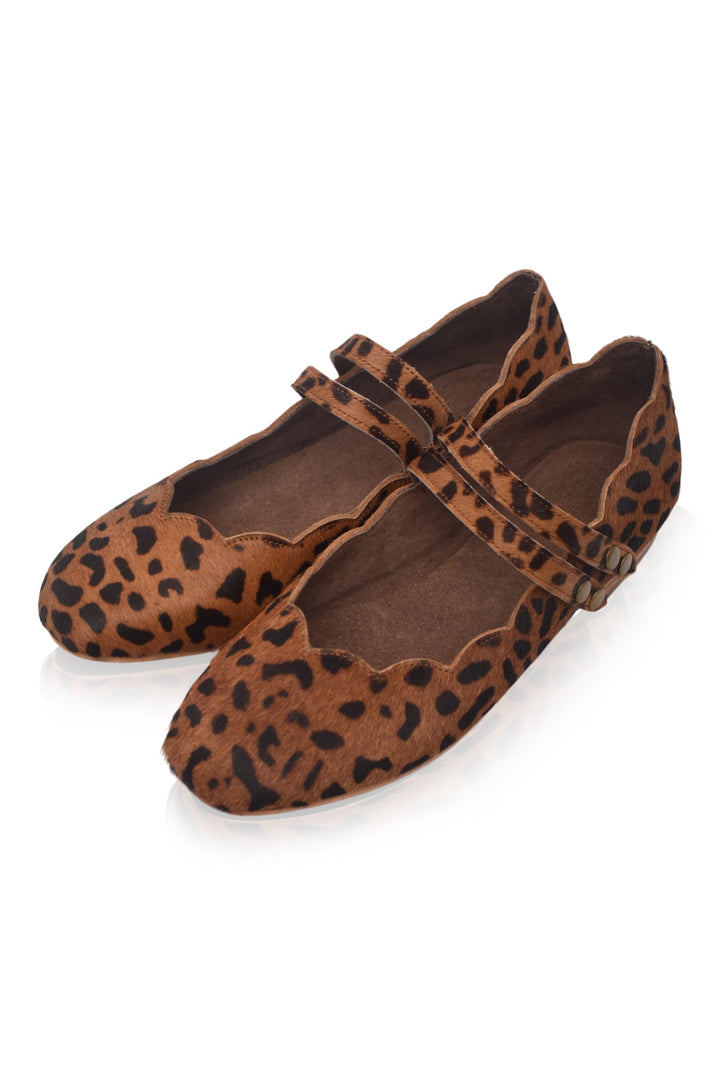 Pair of leopard print shoes on a white background