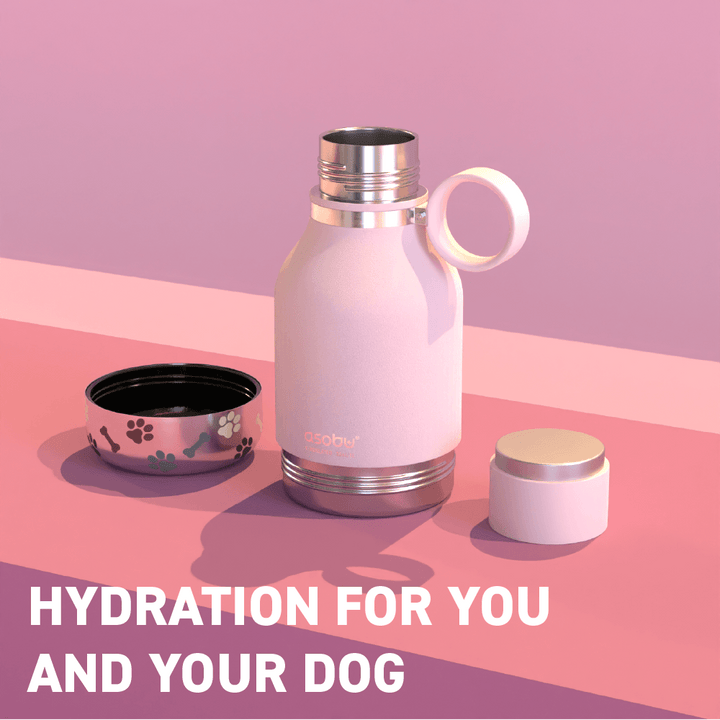 Powdered Pink Dog Bowl Bottle by ASOBU®