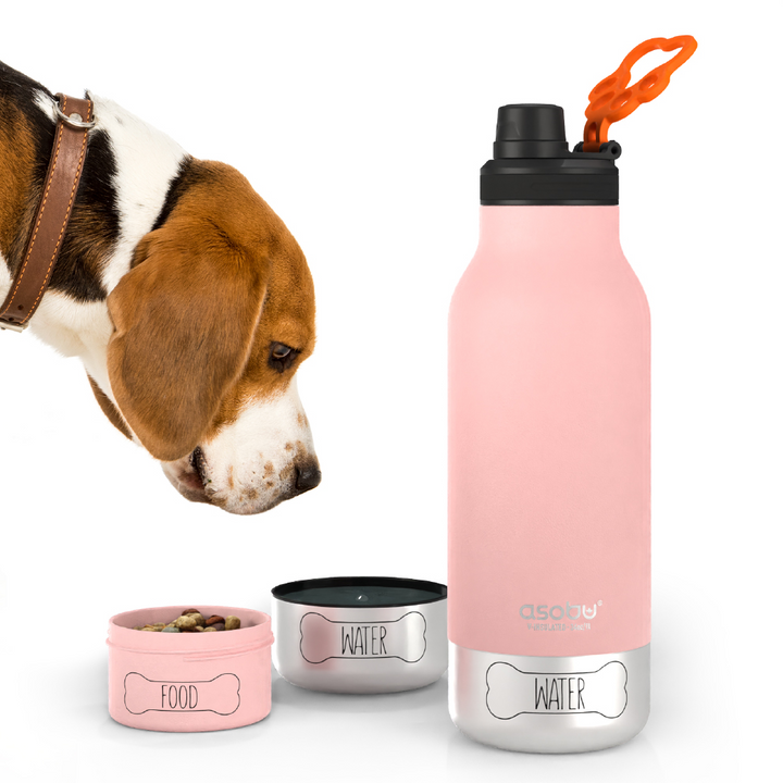 Pink Buddy Bottle by ASOBU®
