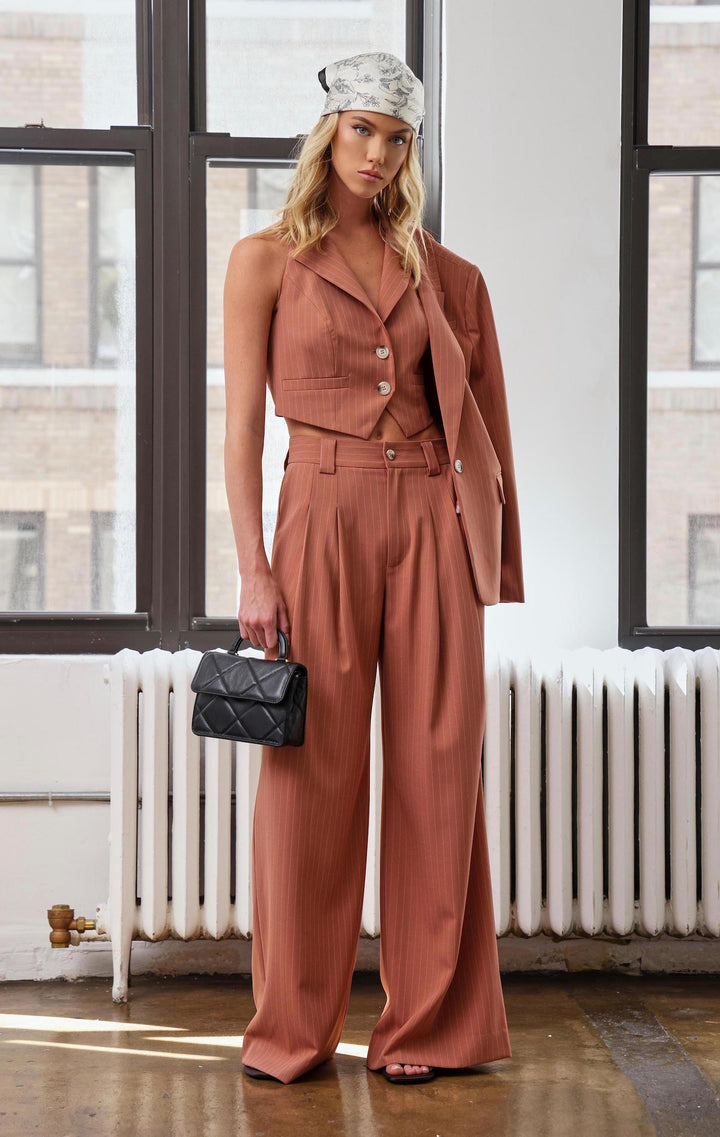 Becca Top, Clay Pinstripe