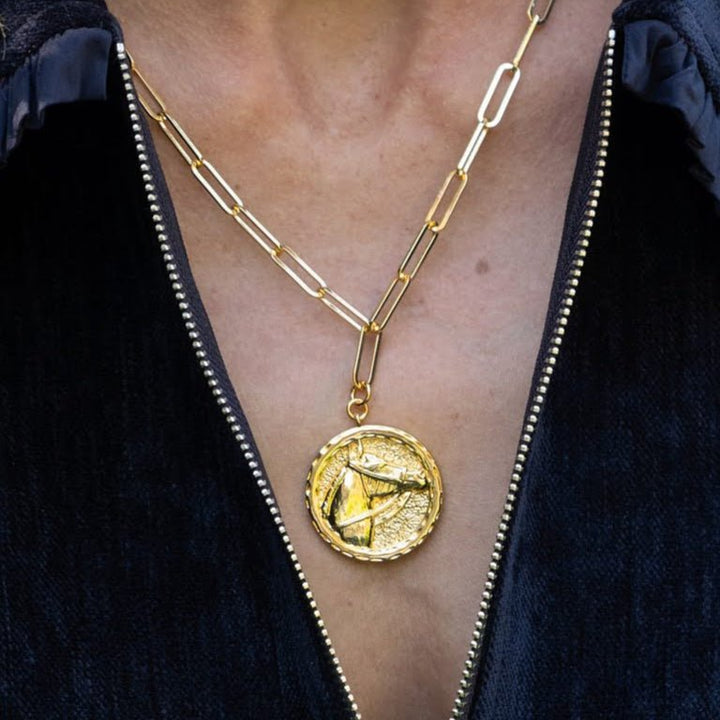 Horsehead Disc Charm Necklace - Paperclip Chain - 18k Gold Plated
