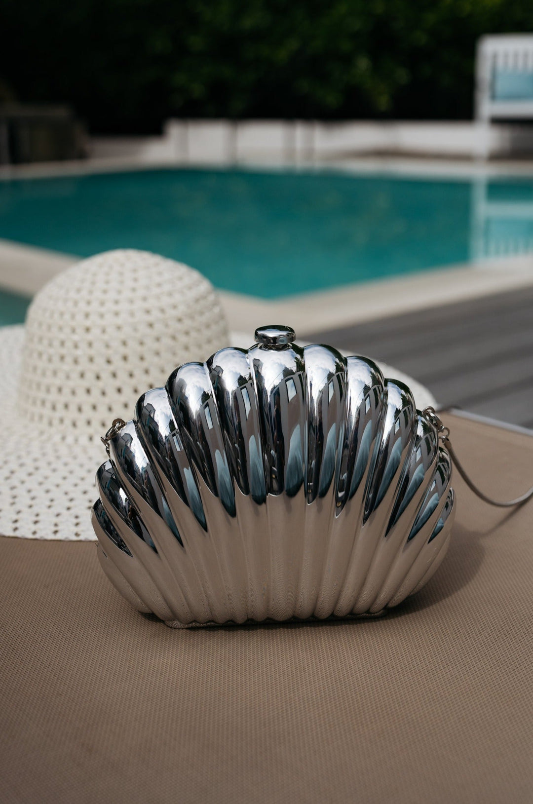 Seashell Purse in Clear