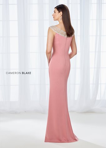 Cameron Blake Jeweled Neck Gown Style 118663 Size 14