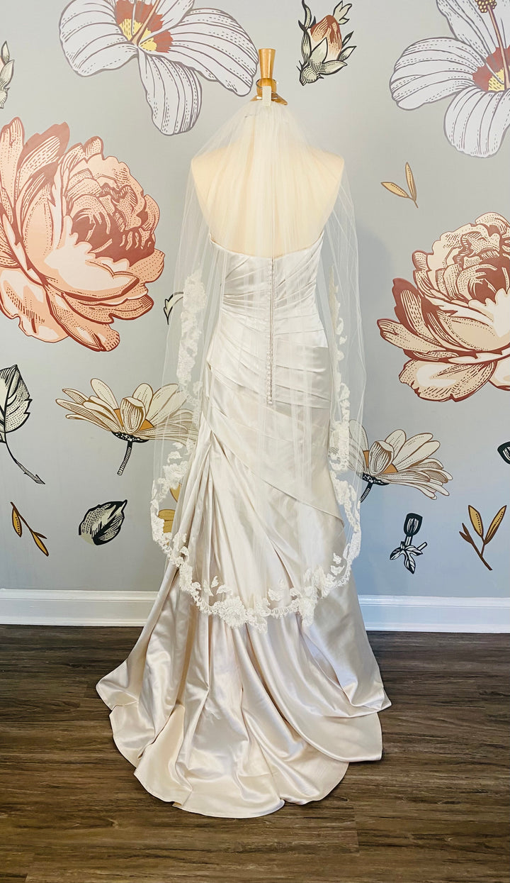 The 'Daphne' Veil